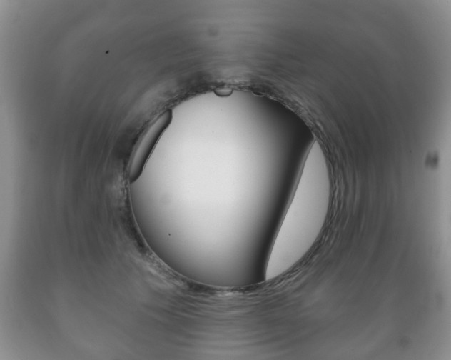 X0000089720609200706210855