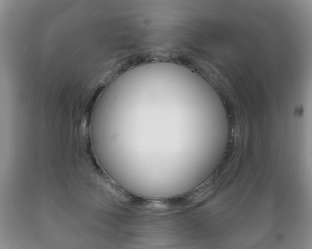 X0000089720610200706210855