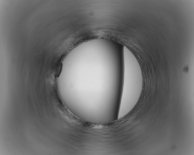 X0000089720611200706210855