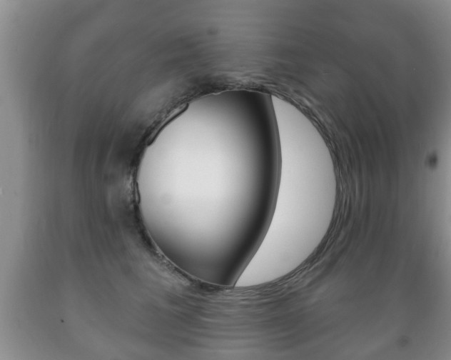 X0000089720613200706210855