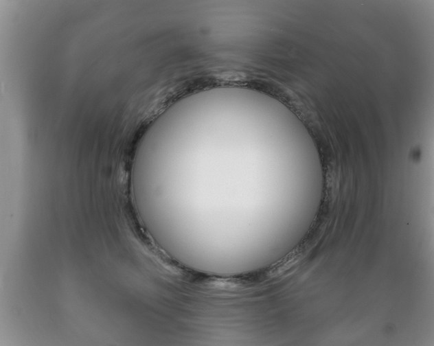 X0000089720614200706210855