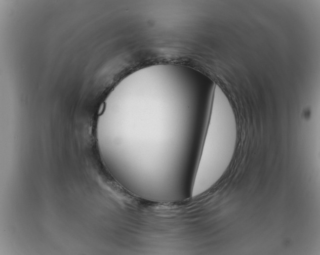 X0000089720615200706210855