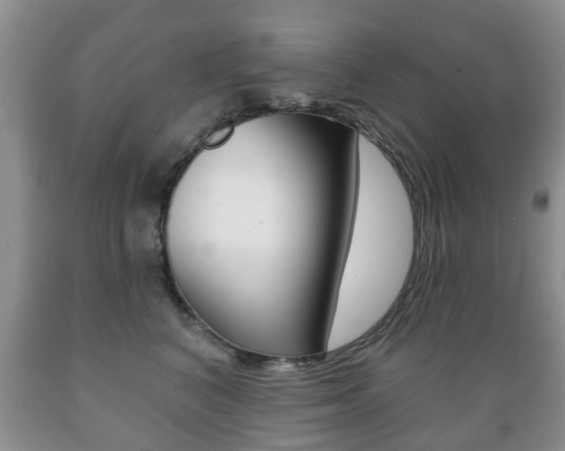 X0000089720616200706210855
