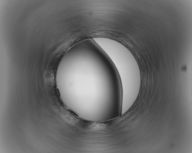 X0000089720617200706210855