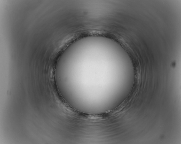 X0000089720619200706210855