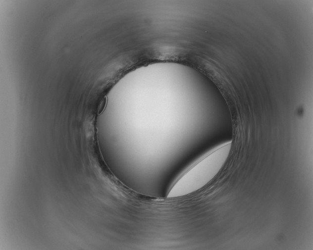 X0000089720620200706210855