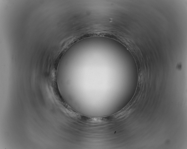 X0000089720623200706210855