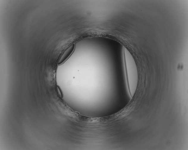 X0000089720624200706210855