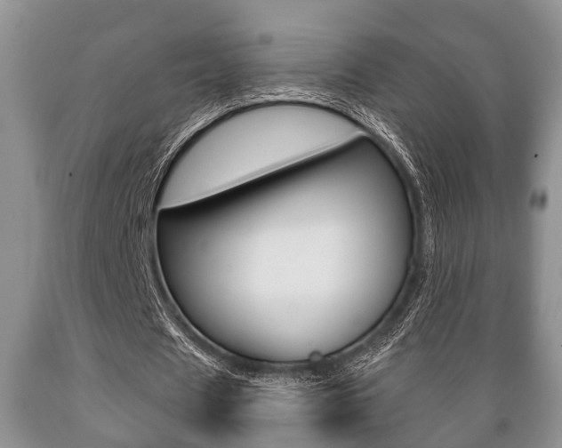 X0000089720625200706210854