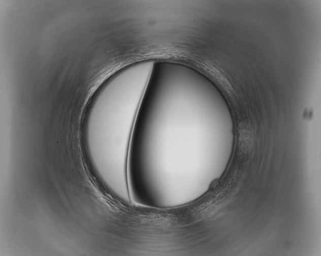 X0000089720626200706210854