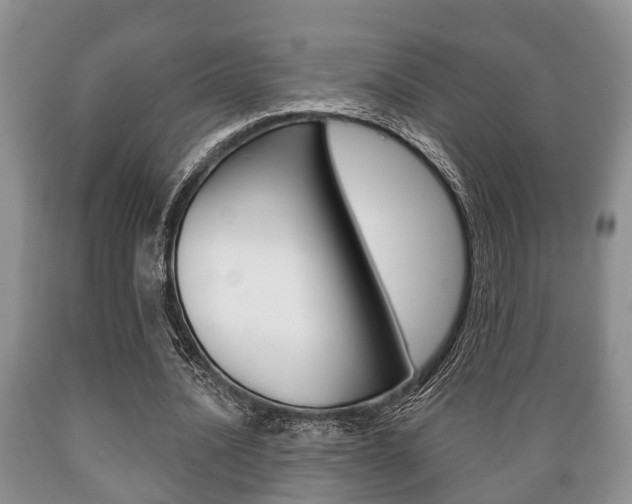 X0000089720628200706210854