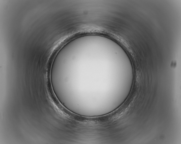 X0000089720629200706210854
