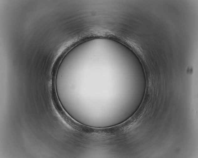 X0000089720630200706210854