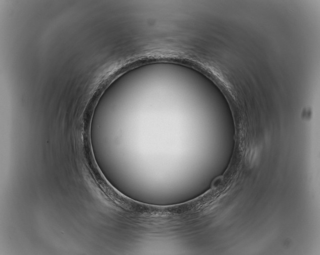 X0000089720631200706210854