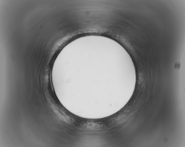 X0000089720632200706210854