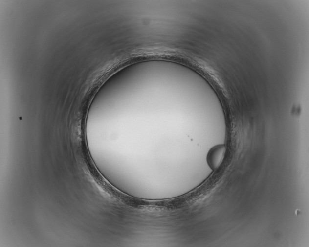 X0000089720633200706210854