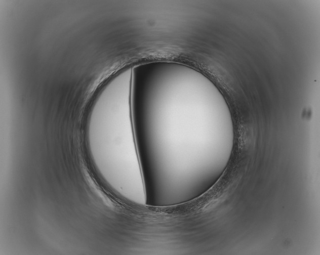X0000089720634200706210854