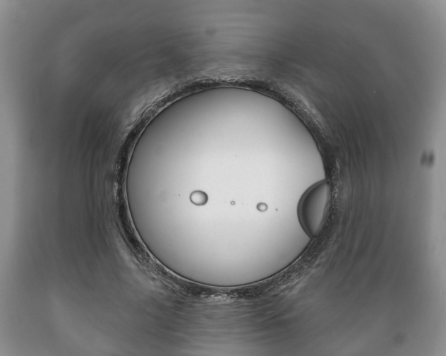 X0000089720635200706210854