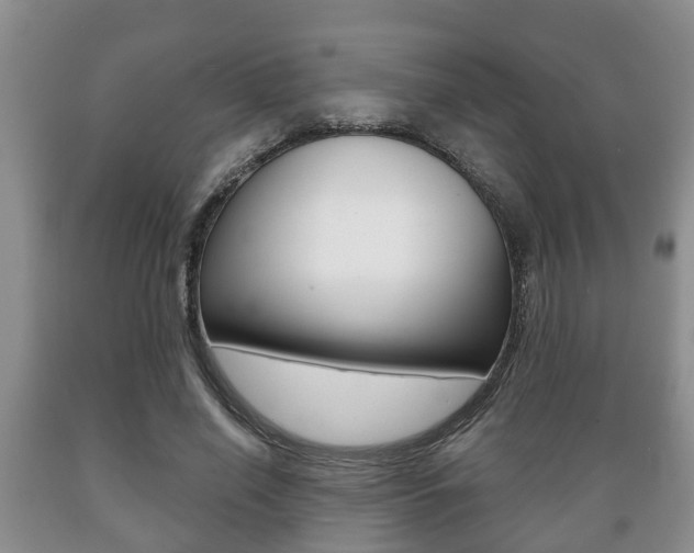 X0000089720638200706210854