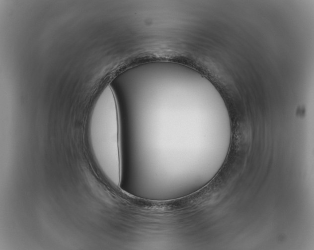 X0000089720639200706210854