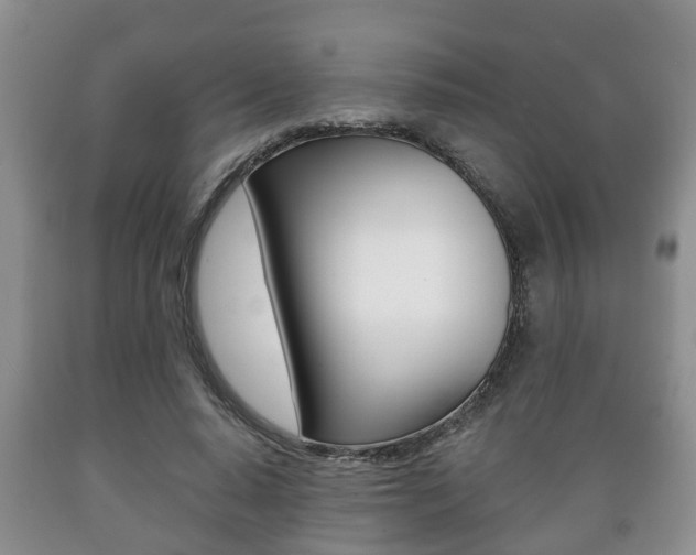 X0000089720640200706210854