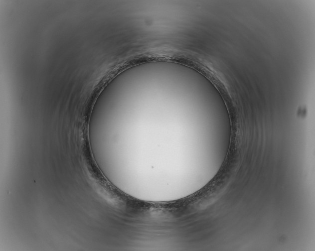 X0000089720641200706210854