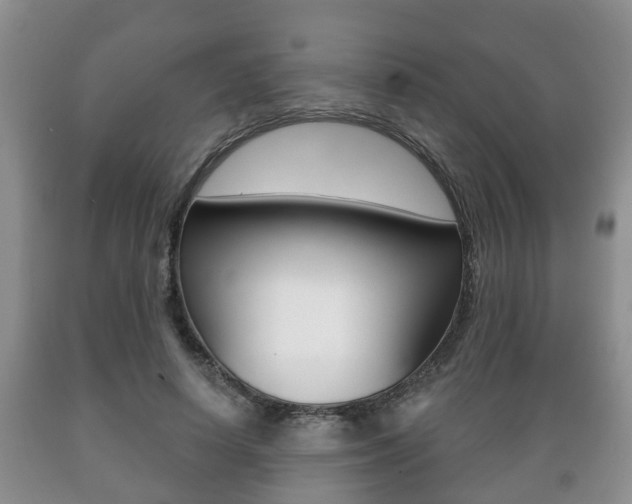 X0000089720642200706210854