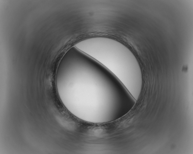 X0000089720643200706210854