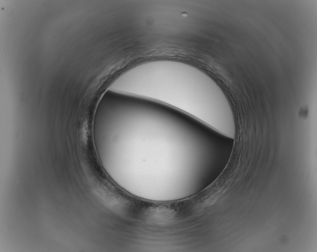 X0000089720644200706210854