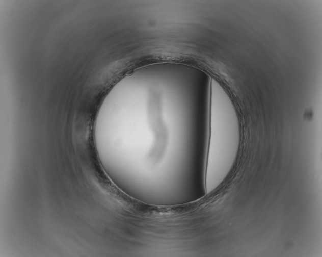 X0000089720645200706210854