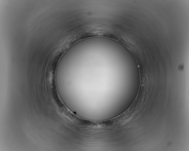 X0000089720646200706210854