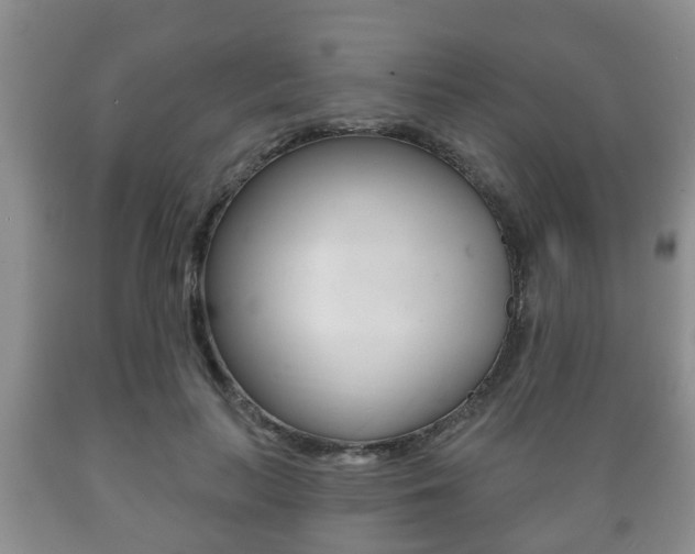 X0000089720647200706210854