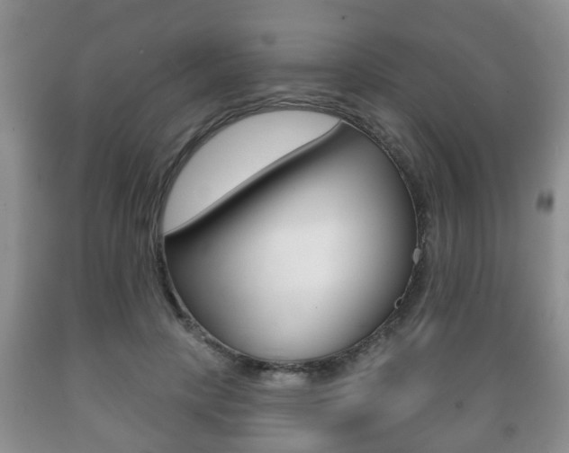 X0000089720649200706210854