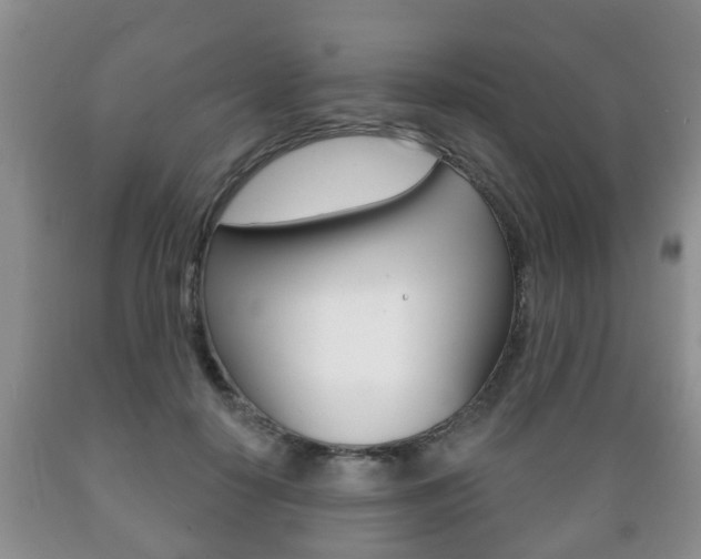 X0000089720650200706210854