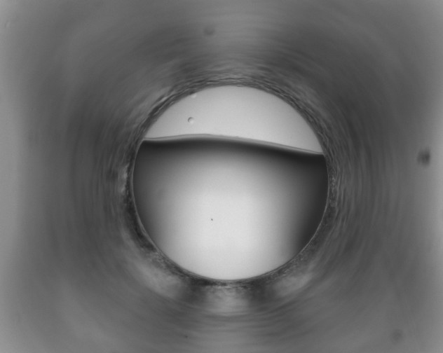 X0000089720652200706210854