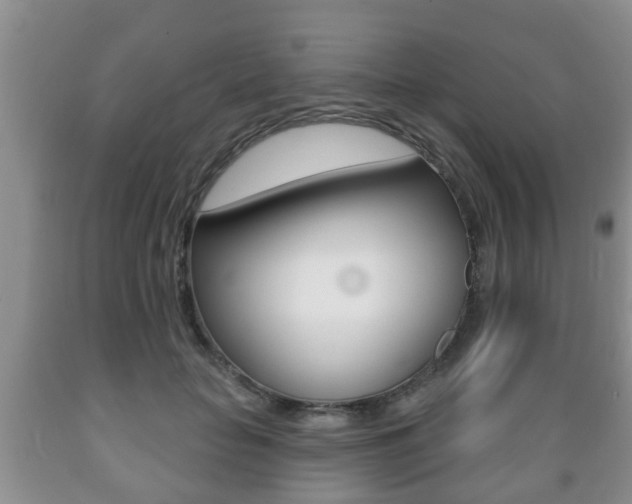 X0000089720653200706210854