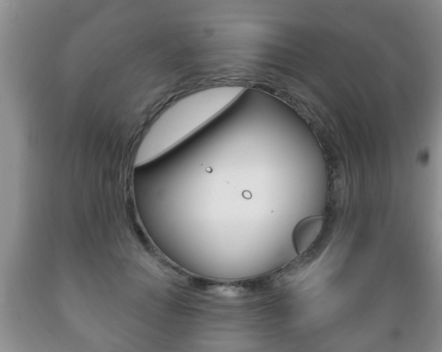 X0000089720654200706210854