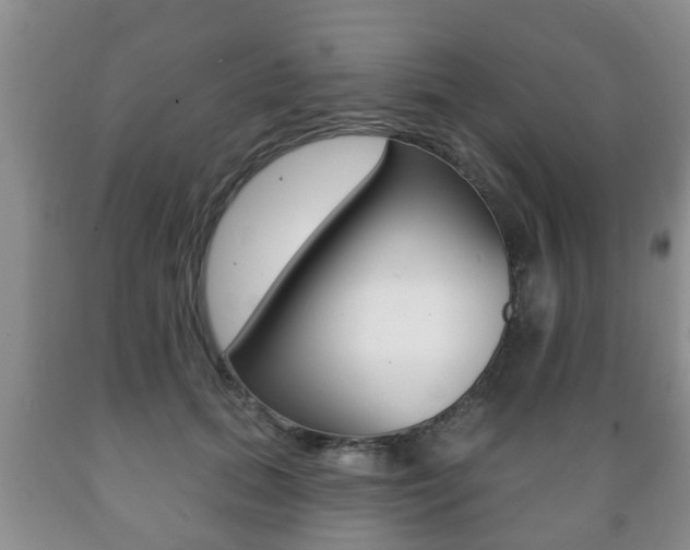 X0000089720655200706210854