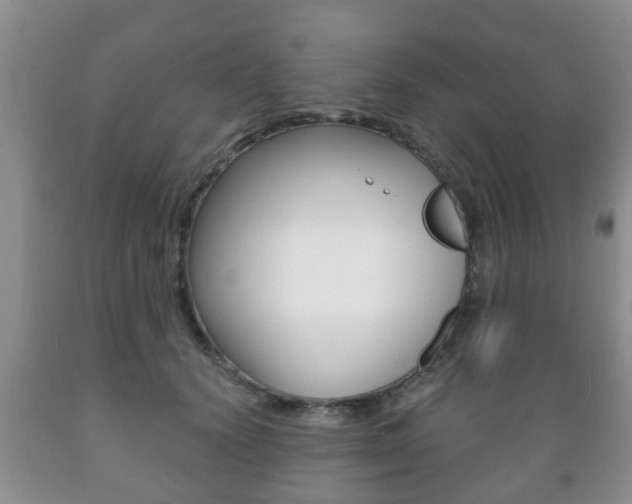 X0000089720656200706210854