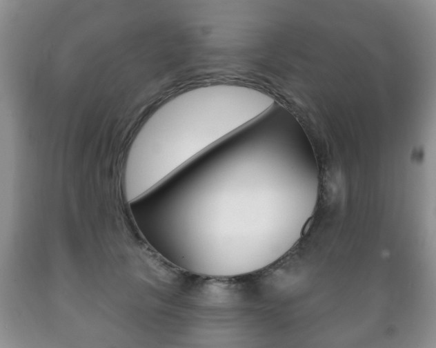 X0000089720657200706210855