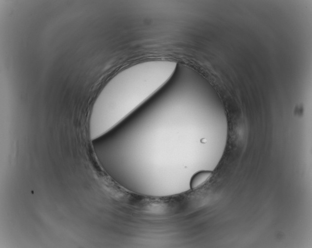 X0000089720658200706210855