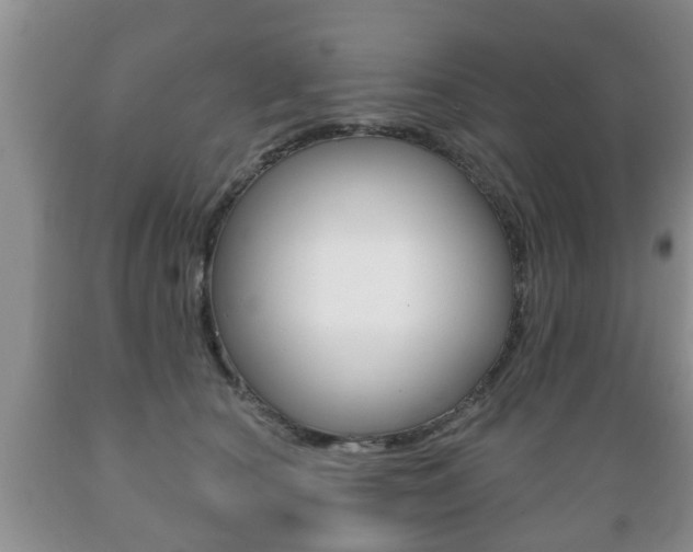 X0000089720660200706210855