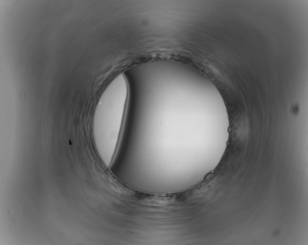 X0000089720661200706210855