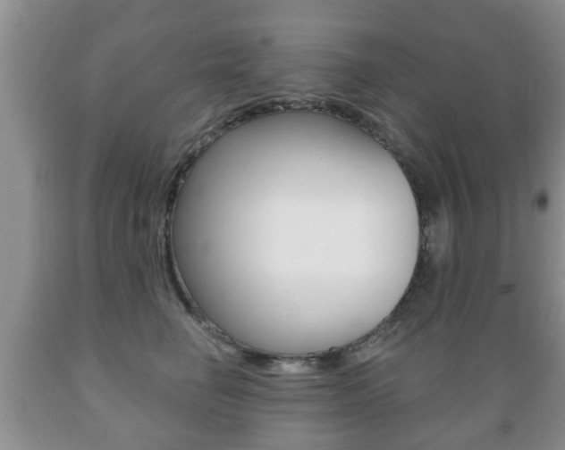 X0000089720662200706210855