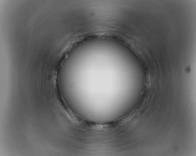 X0000089720664200706210855