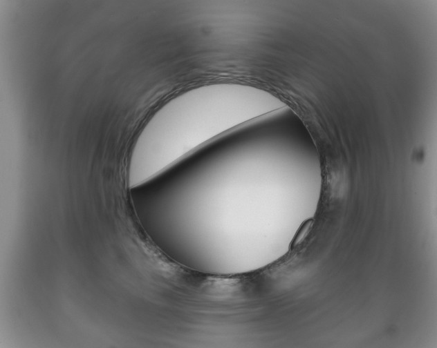 X0000089720665200706210855