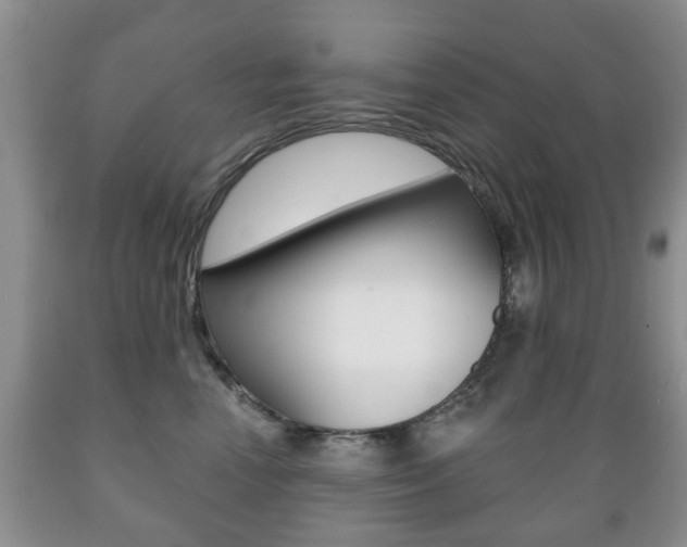X0000089720666200706210855