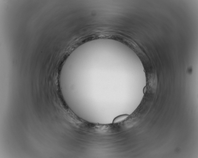 X0000089720667200706210855