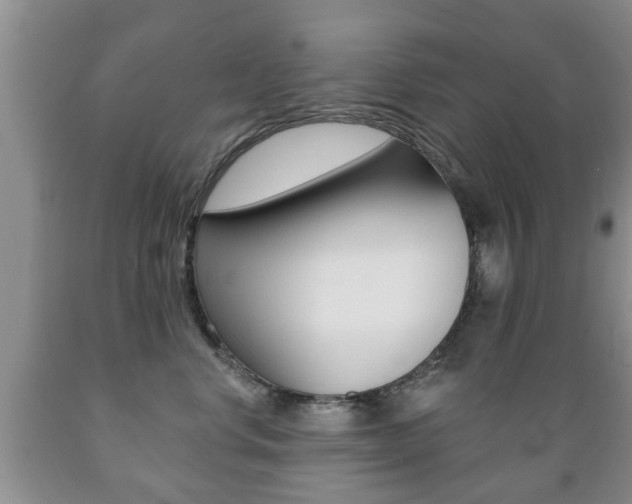 X0000089720668200706210855