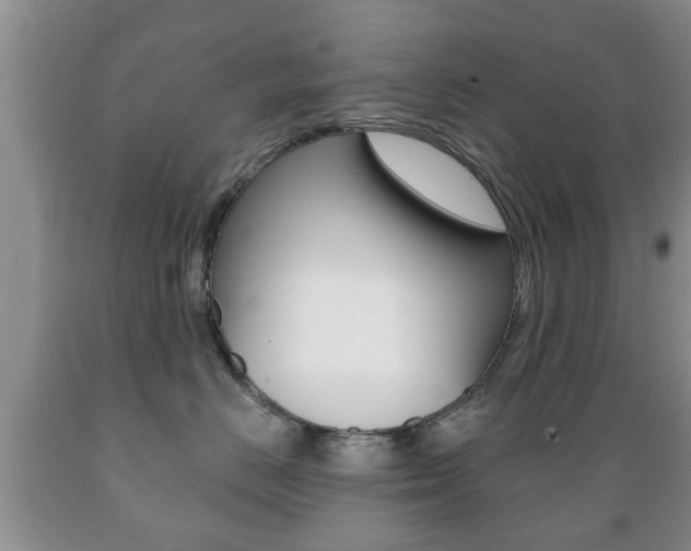 X0000089720670200706210855